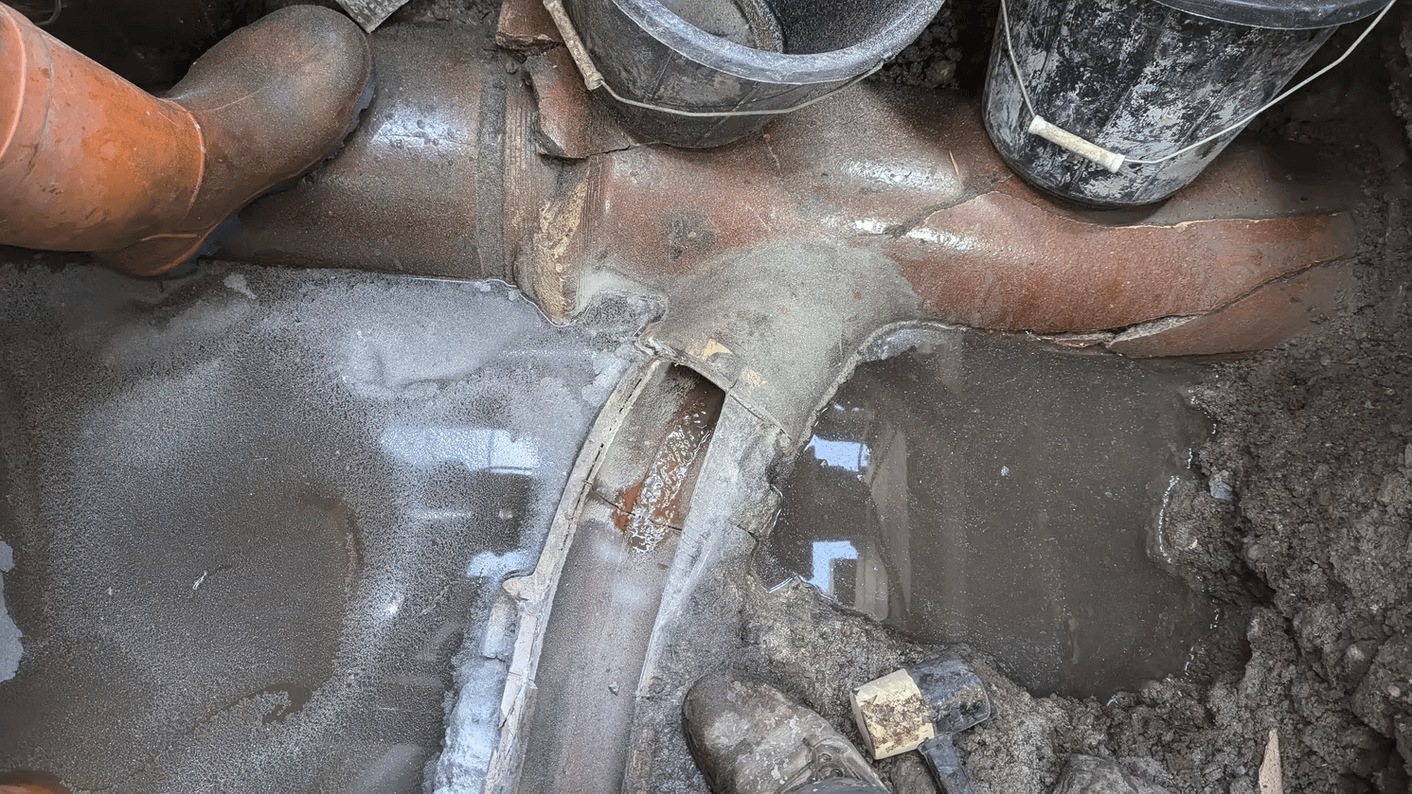 af88bf_30aa1db9d8da48dea7db9c0316ae46c6~mv2